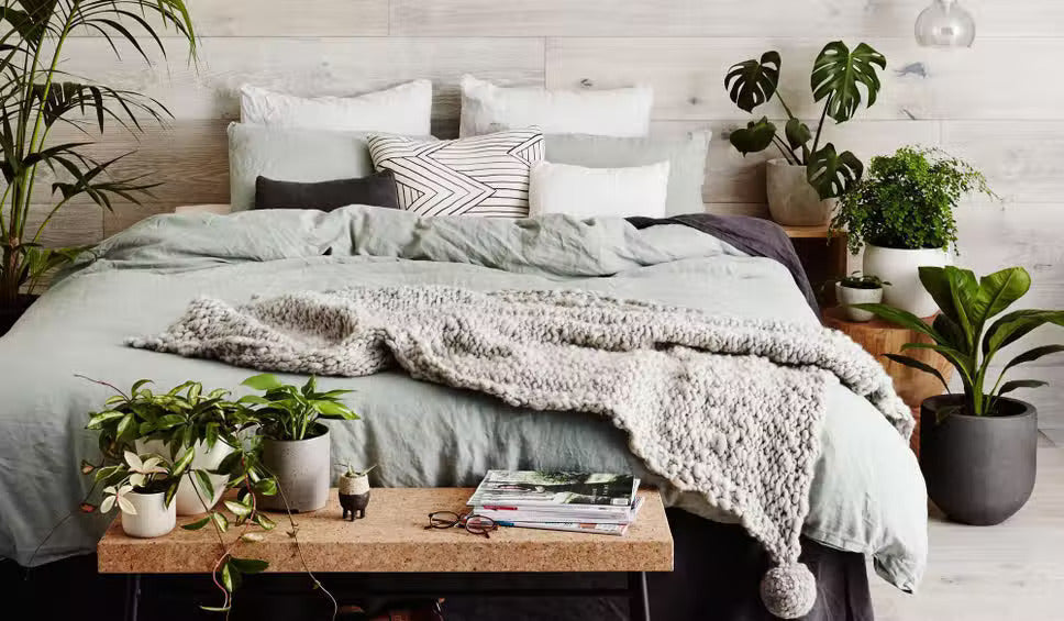 Bringing the Outdoors In: 8 Bedroom Plants to Help You Sleep Better